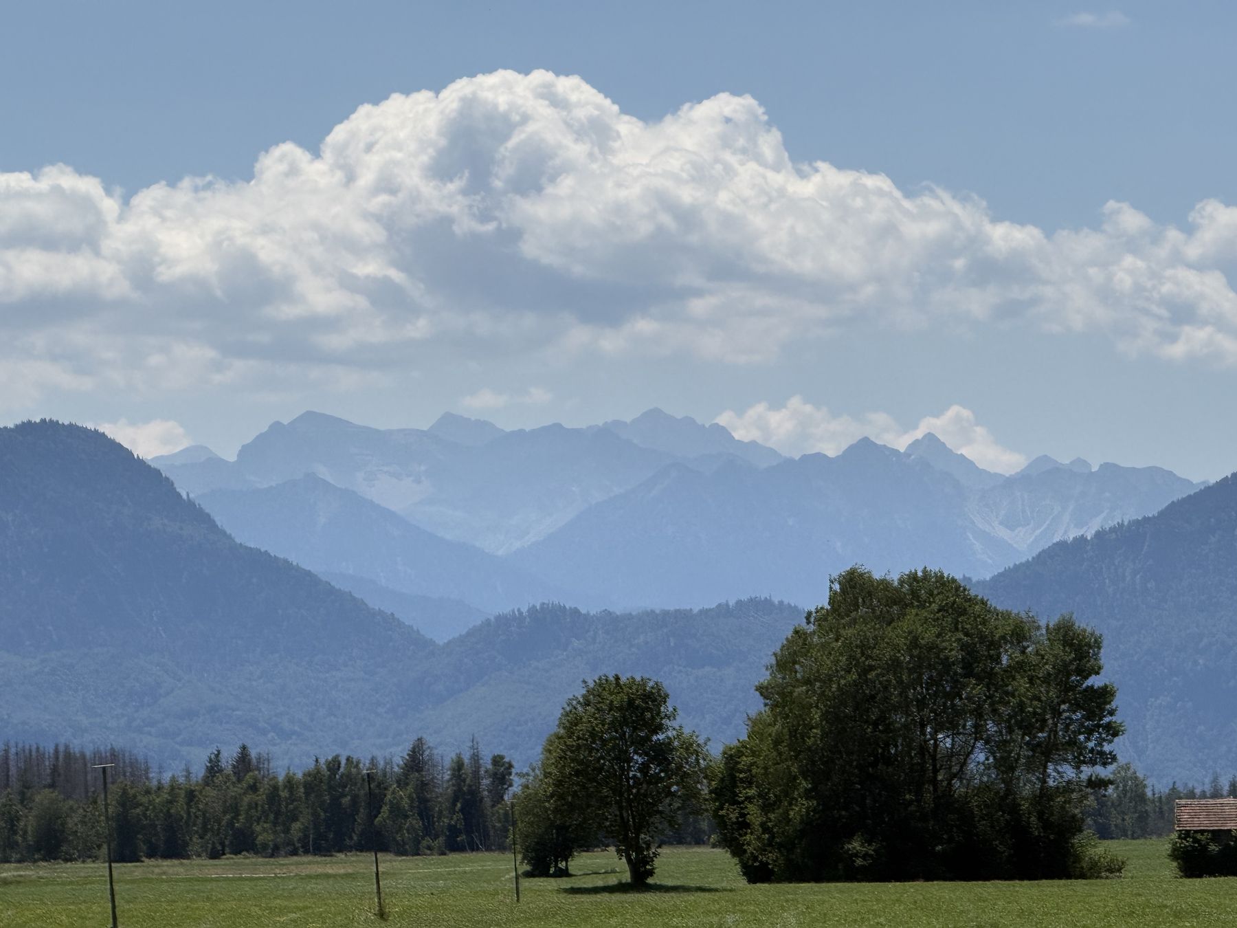 Bergkette in blauen Schichten mit B&auml;umen und Wiese im Vordergrund