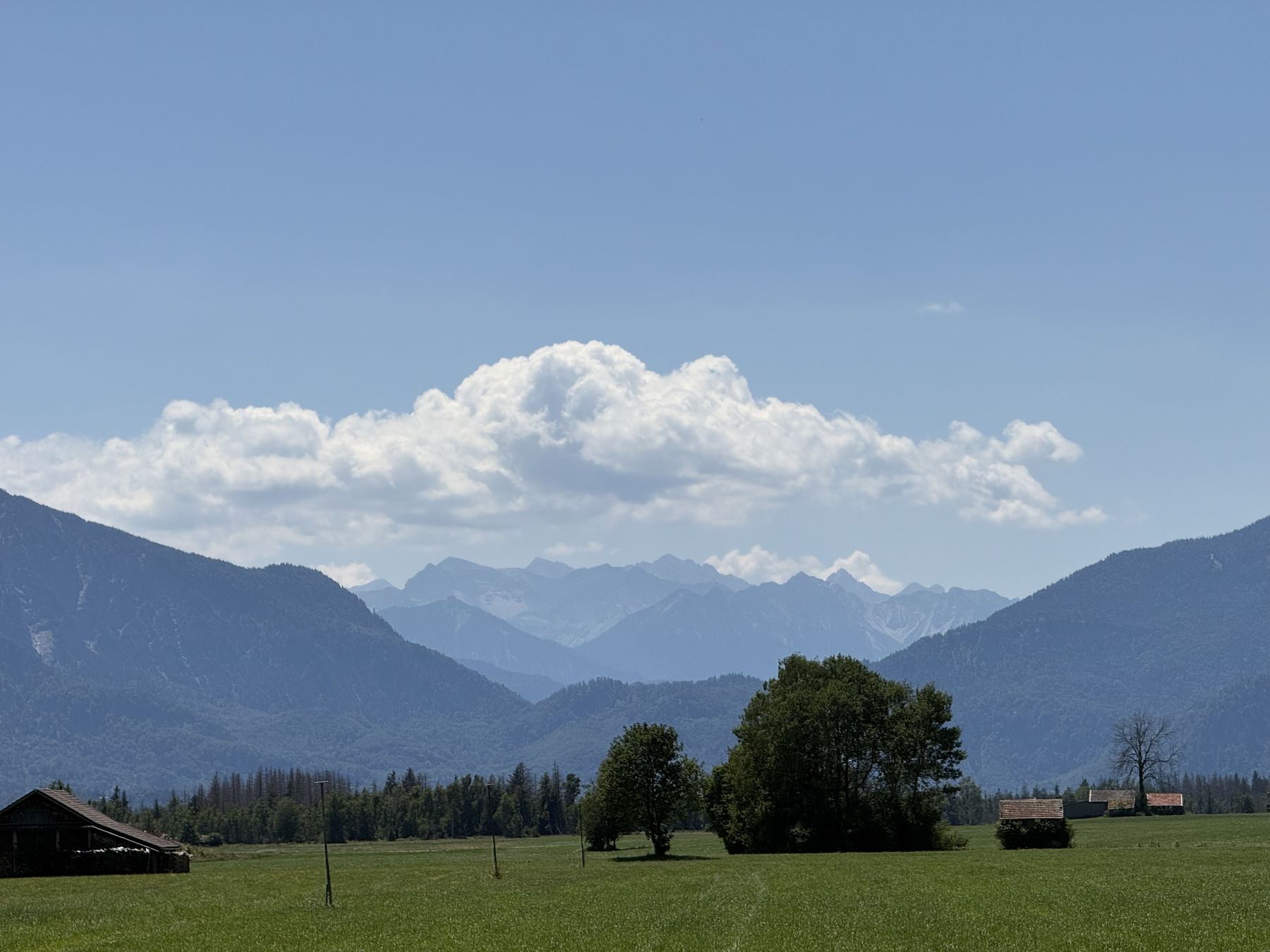 Blick auf die Alpen mit weiten Wiesen und einer gro&szlig;en wei&szlig;en Wolke &uuml;ber den Gipfeln